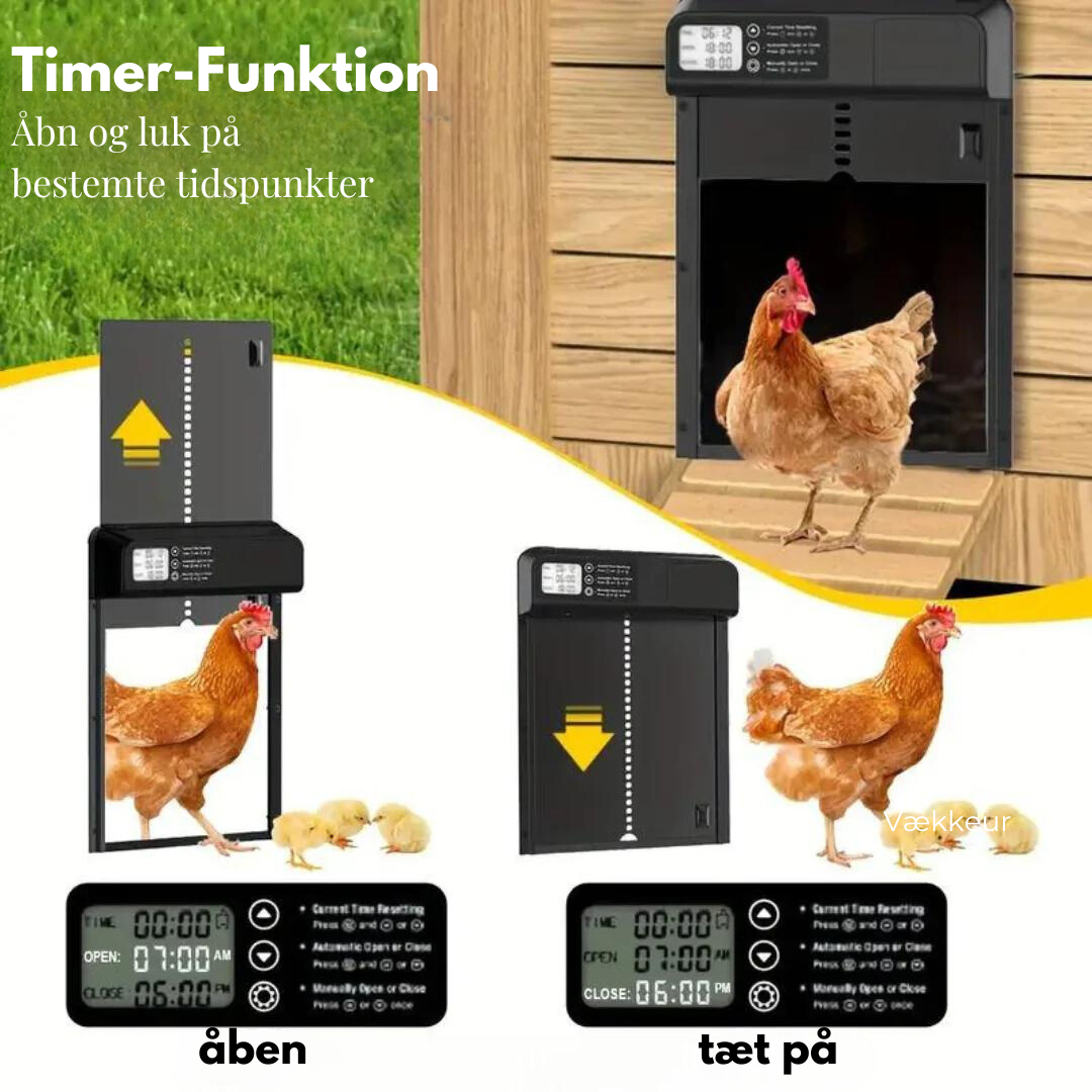 Kyllingeudklækning med timer - automatisk