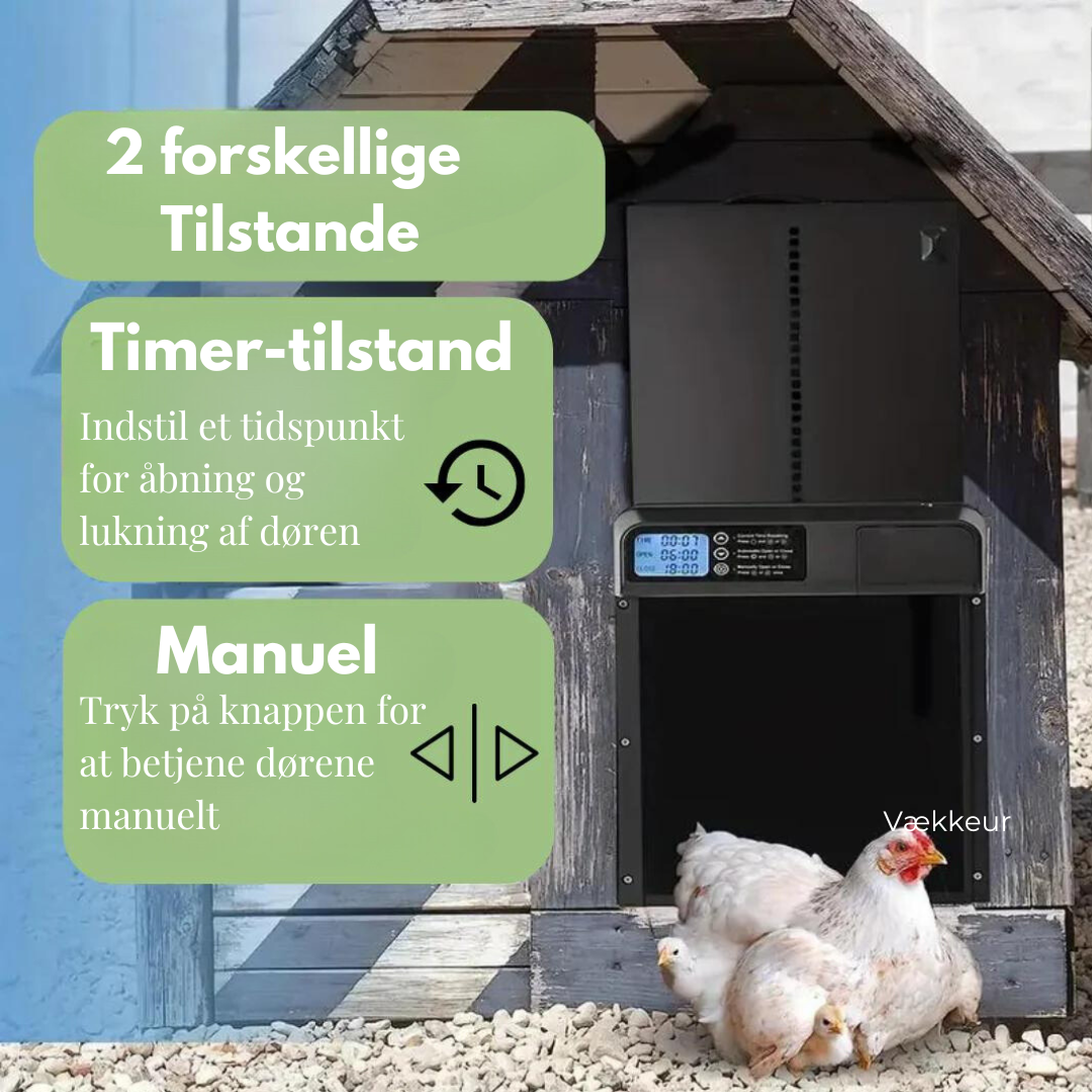 Kyllingeudklækning med timer - automatisk