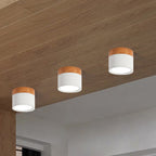 THORVALD - Loftlampe med en unik glød