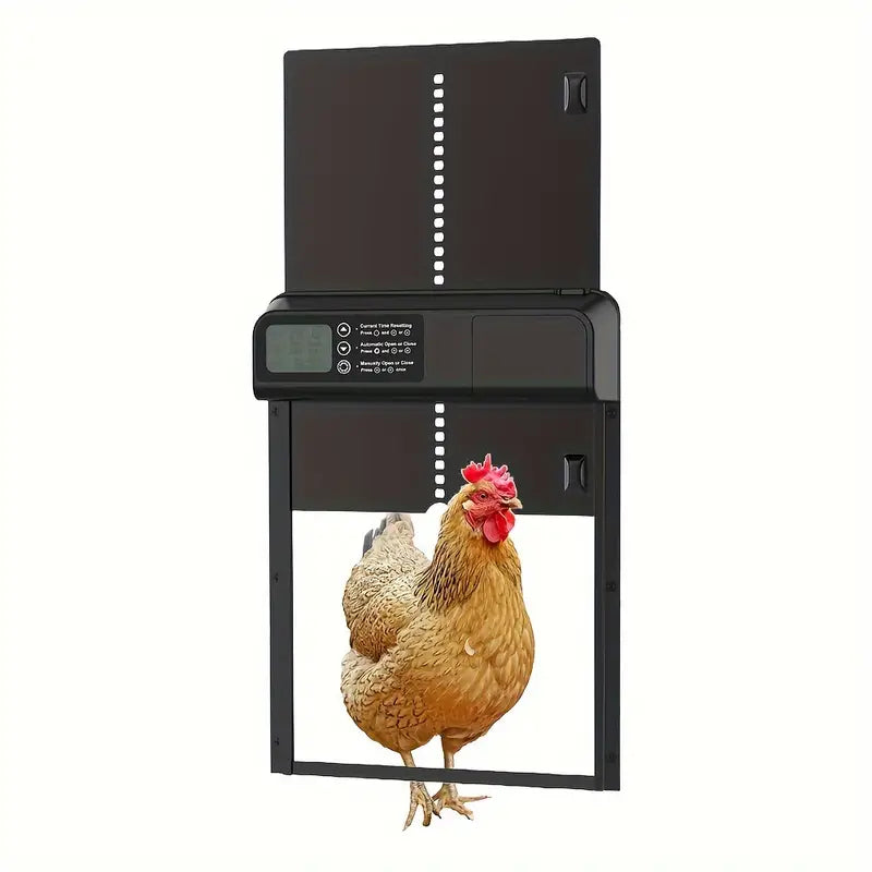 Kyllingeudklækning med timer - automatisk